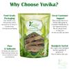 YUVIKA Hadjod - Cissus Quadrangularis (100 Grams) view 3