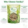 YUVIKA Kurand Ghas | Bophali | Baphuli - Corchorus Depressus (200 Grams) view 3