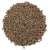 YUVIKA Ajmod - Apium Graveolens - Celery Seeds (400 Grams) view 2