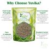 YUVIKA Ajmod - Apium Graveolens - Celery Seeds (400 Grams) view 3