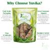 YUVIKA Padal Phali (400 Grams) view 3