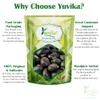 YUVIKA Beej Kaunch Kala - Mucuna Pruriens - Black Kaunch Seeds | Cowhage (400 Grams) view 3