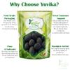 YUVIKA Kamal Gatta - Nelumbo Nucifera Gaertn - Lotus Seeds (200 Grams) view 3