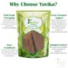 YUVIKA Ushara Revan - Rheum Emodi - Indian Rhubarb Extract (200 Grams) view 4