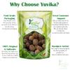 YUVIKA Gorakhmundi - Sphaeranthus Indicus - East Indian Globe Thistle (400 Grams) view 3