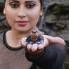 Ayana Crystals Piezo Electric Orgonite Pyramid with Bionized Black Tourmaline Crystals - Handcrafted, Positive Energy Generator, Chakra Healing view 3
