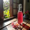Hawaiian Shaved Ice Pink Bubble Gum Syrup - Nut Soy Dairy Free - Flavor Fluffy & Crunchy Snow Cones - Shelf Stable - Makes 8 Servings - 16 ounces view 3