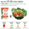 Brad's Plant Based Nacho Crunchy Kale, Gluten Free, 2 Ounces (Pack Of 12) view 4