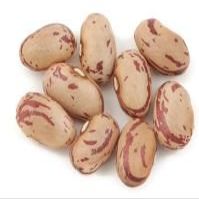 Romano Beans - 5 Lbs