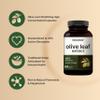 NatureBell Olive Leaf Extract - 240 Capsules - High Strength 50:1 Concentrated Extract with Oleuropein - Immune, Heart & Circulation Support* view 3