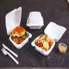 AmerCareRoyal 6-in-1 Disposable Silverware Heavy Weight Plastic Utensil Set with Teaspoon, Fork, Knife, Salt & Pepper Packets, 13x17 Napkin - Individually Wrapped Cutlery Meal Kit, White, Case of 250 view 4