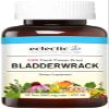 Eclectic Glass Bladder-Wrack FDV, 50 Count view 1
