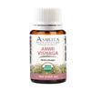 Amrita Aromatherapy: Organic Ammi Visnaga Essential Oil; 100% Pure and Undiluted, Premium Quality Aromathearpy Oil; Tested and Verified, Size: 10mL (0.34 Fl. Oz.) view 1