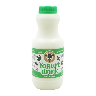 KAROUN Yogurt Drink Mint, 16 FZ