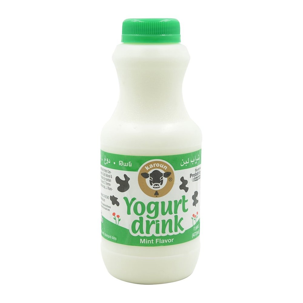 KAROUN Yogurt Drink Mint, 16 FZ