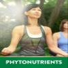 Nature's Truth Oregano Oil Softgels | 90 Pills | Contains Carvacrol | Non-GMO & Gluten Free Supplement view 4