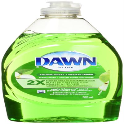 532ml Apple Scented Antibacterial Dish Soap
