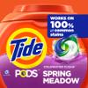 Tide Pods Liquid Laundry Detergent Pacs, Spring Meadow, 42 Count (Pack of 4) view 3