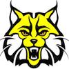 1/4 Sheet - Yellow Bobcat Wildcat Mascot Birthday - Edible Cake/Cupcake Party Topper - D22735 view 1