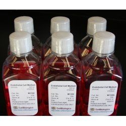 Cell Biologics DMEM,with High Glucose, L-glutamine, Sodium Pyruvate and, 25mM HEPES