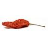 Ghost Peppers - Oven Dried 4 Oz. view 2