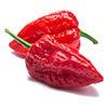 Ghost Peppers - Oven Dried 4 Oz. view 3
