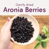 Aronia Original Organic Dried Aronia Berries 17.6 oz (500 g) - Unsweetened Black Chokeberries, Gently Dried After Harvest - Vegan, Non-GMO, No Sulfites or Additives view 4