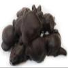 Gourmet Cashew Caramel Clusters with Dark Chocolate by It's Delish, 1 lb Bulk Bag view 1