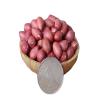 Helen Ou @ Shaanxi Specialty: Raw Red Shelled Peanut Kernel 500g/17.64oz/1.1lb  view 3