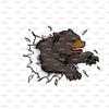 1/4 Sheet - Bears Team Mascot Birthday - Edible Cake/Cupcake Party Topper - D916 view 1