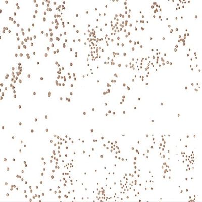 Pack Of 1, 30"X100' Gold Sprinkles Dot Classic Print Cello Rolls 1.0 Mil Made In USA