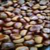 Fresh -GPS-raw chestnut 3 Lbs view 1