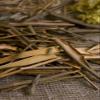 Health Embassy White Willow Bark | Salix Alba L | Herbal Tea (50g) view 4
