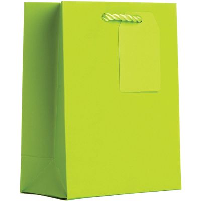 Jillson Roberts Small Gift Bags, Matte Lime (30 Pcs)