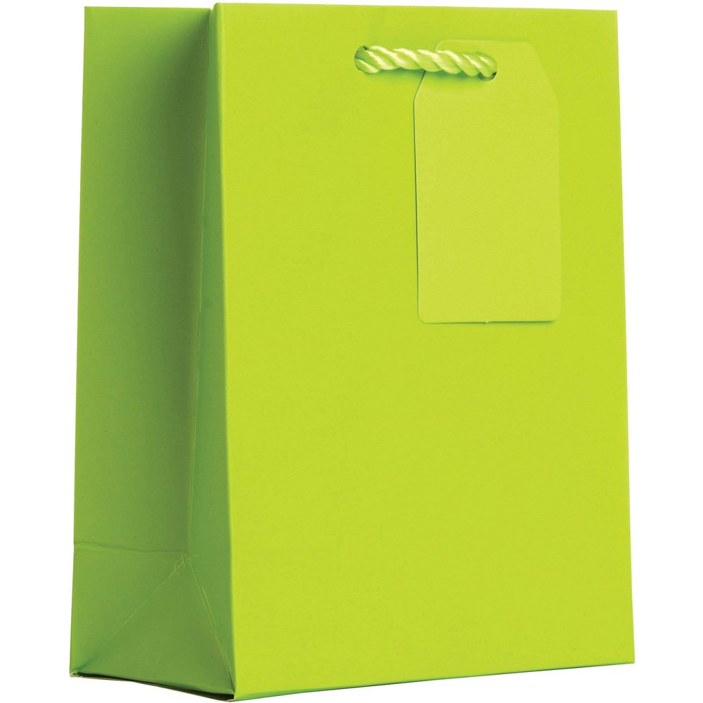 Jillson Roberts Small Gift Bags, Matte Lime (30 Pcs)