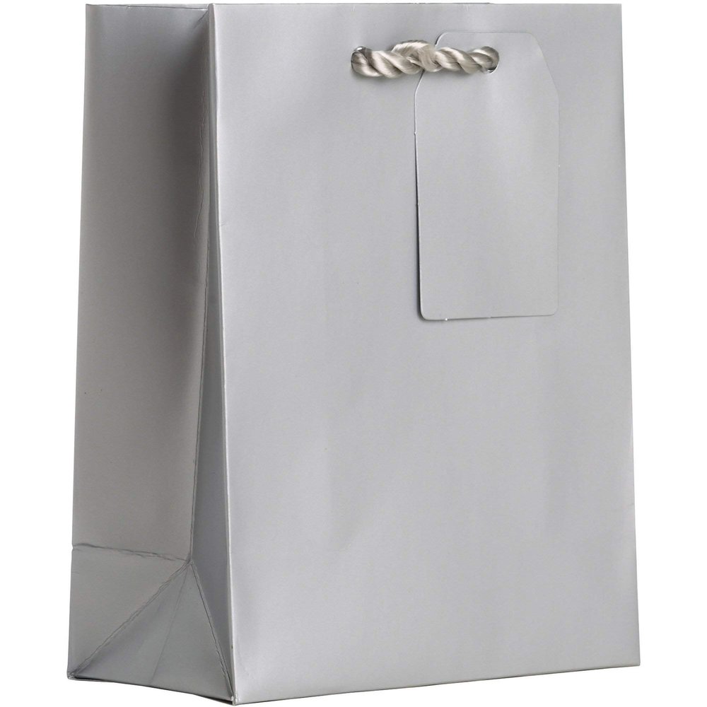 Jillson Roberts Small Gift Bags, Matte Metallic Silver (30 Pcs)