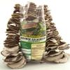 Seweryn Premium Grade 1 Polish Forest Dried Porcini Mushrooms Whole Caps Traditional String 3.52 oz / 100 g Handpicked from Wild Forests, Air-Dried Mushrooms, Ideal for Cooking and Gourmet Recipes view 1