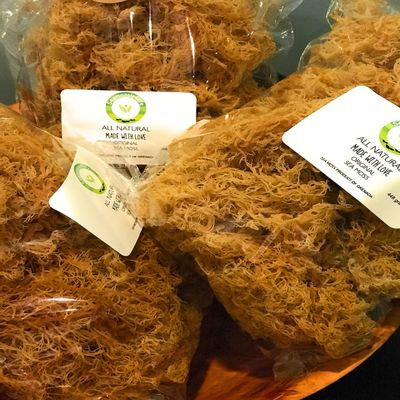 NATURAL,SEA MOSS (RAW) 4 0Z - IRISH MOSS,CHONDRUS CRISPUS,Jamaica Drink Below