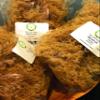 NATURAL,SEA MOSS (RAW) 4 0Z - IRISH MOSS,CHONDRUS CRISPUS,Jamaica Drink Below view 1