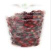 Pomegranate Seeds view 2