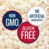 SkinnyPop Original Popcorn, Gluten Free, Vegan Popcorn, Non-GMO, Healthy Popcorn Snacks, Skinny Pop, 6.7oz Party Sized Bag view 4