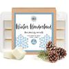 Aira Soy Wax Melt - Organic, Vegan, Kosher, Scented S0y Wax Cubes w/Essential Oil Blends - No Chemical 100% Soy Wax Melts for Tealight Melters - Hand-Poured Soy Tarts - Winter Wonderland - 2 Pack view 1