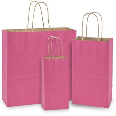 Pack Of 125, Lipstick Natural Kraft Tint Bag W/Serrated Edge Tops & Sturdy Paper Twisted Handles Assortment 50 Rose, 50 Cub, 25 Vogue Made In USA