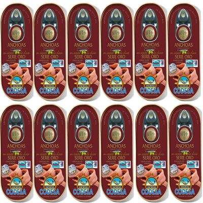 Anchoas del Cantabrico in Olive Oil Pack of 12
