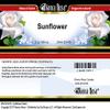 Bianca Rosa Sunflower Salve (2 oz, ZIN: 521479) - 3 Pack view 3