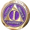 1 Year Elegant Glitter Purple Gold Silver Bi-Plated AA Medallion Chip view 1