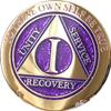 1 Year Elegant Glitter Purple Gold Silver Bi-Plated AA Medallion Chip view 3