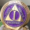 1 Year Elegant Glitter Purple Gold Silver Bi-Plated AA Medallion Chip view 4