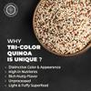 Pride Of India - Natural Three Color Quinoa - 100% Royal Bolivian Superior Grade Protein Rich Whole Grain, 1.5 lbs (24oz) Jar view 4