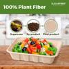 [100 COUNT]Harvest Pack 32 oz Compostable Food Trays, 8.49" x 6.45" x 1.86" Disposable PFAS FREE Food Container, Bagasse Rectangle Paper Plates, Sugarcane Eco-Friendly Plant Fibers, No Lids included view 3